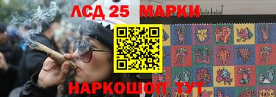 шишки Беслан