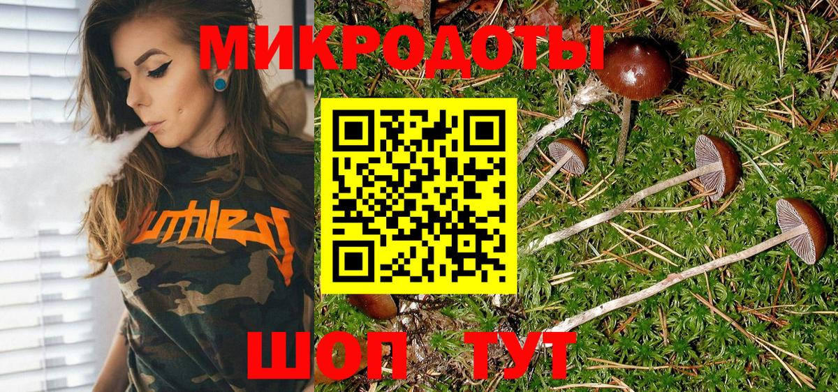 Галлюциногенные грибы мицелий  Берёзовский 