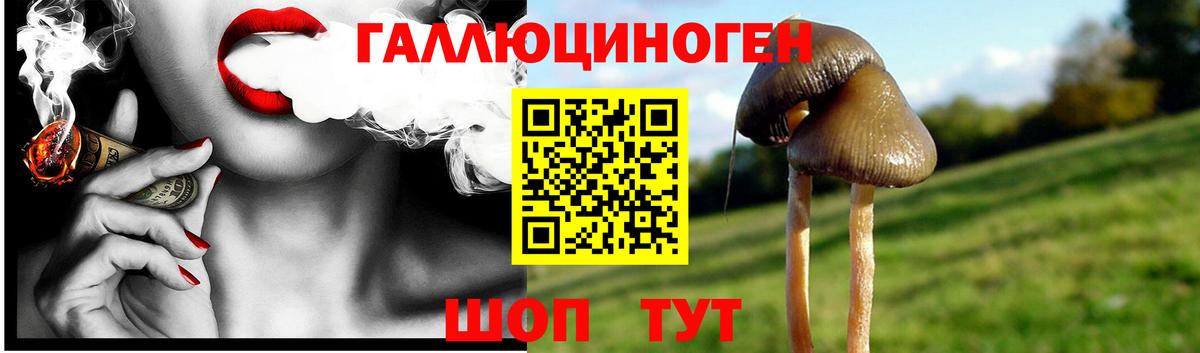 Берёзовский  Галлюциногенные грибы мухоморы  Вход с VPN 